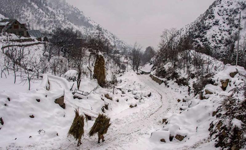 Respite from rain, snowfall damaged crops, blanketed hilly states with white sheets of snow