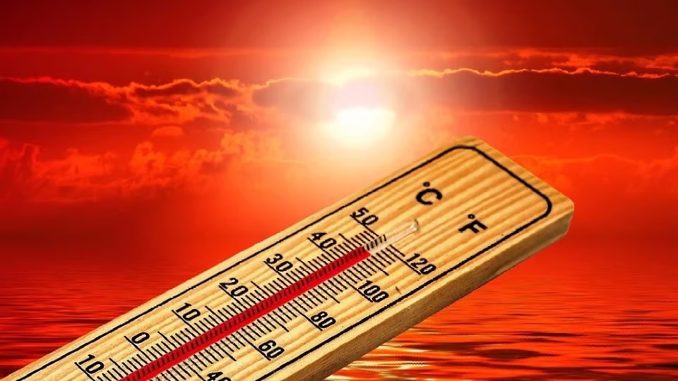 Get ready for scorching heat mercury will cross 42 degrees