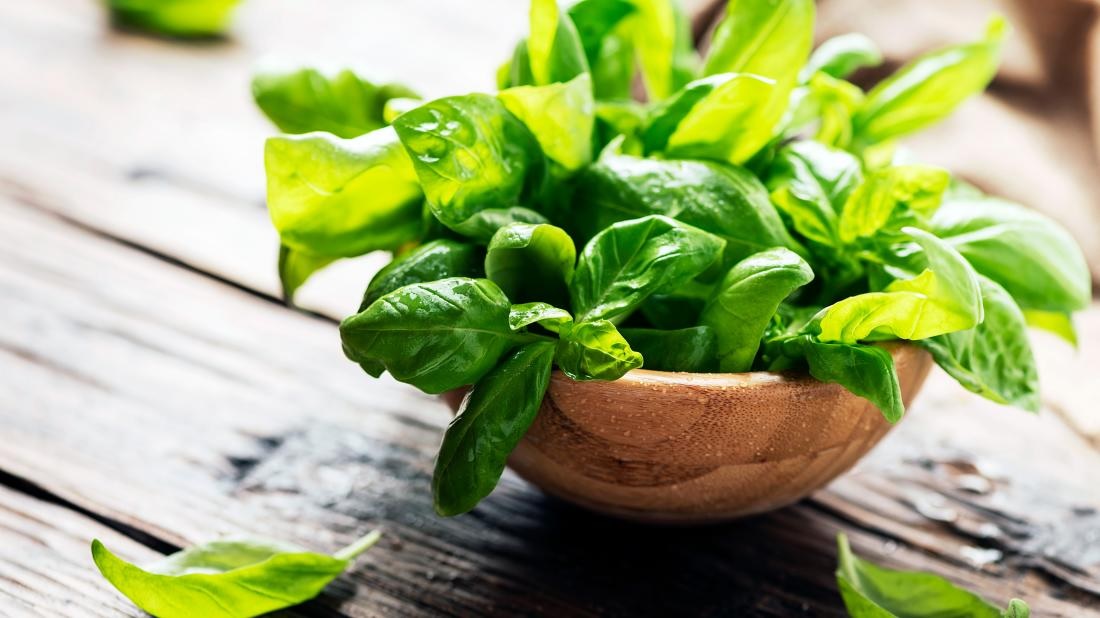 If you want glowing and pimple free skin in summer then use basil leaves like this. 01