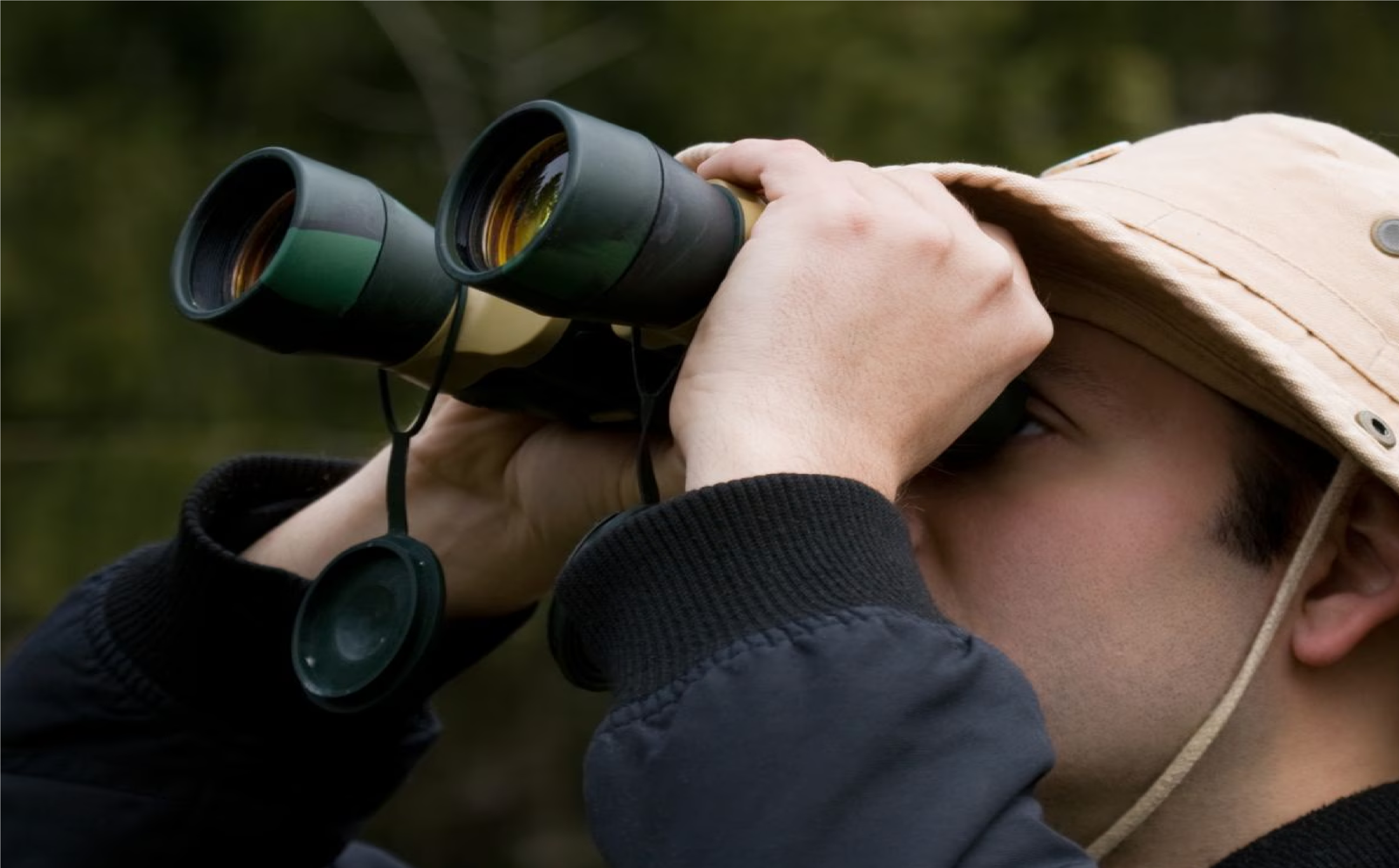 The man was looking at the birds house what did you do after the people who saw it asked 1