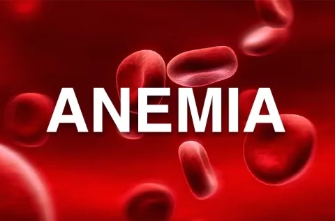 effective self care tips to manage anemia and iron deficiency 3