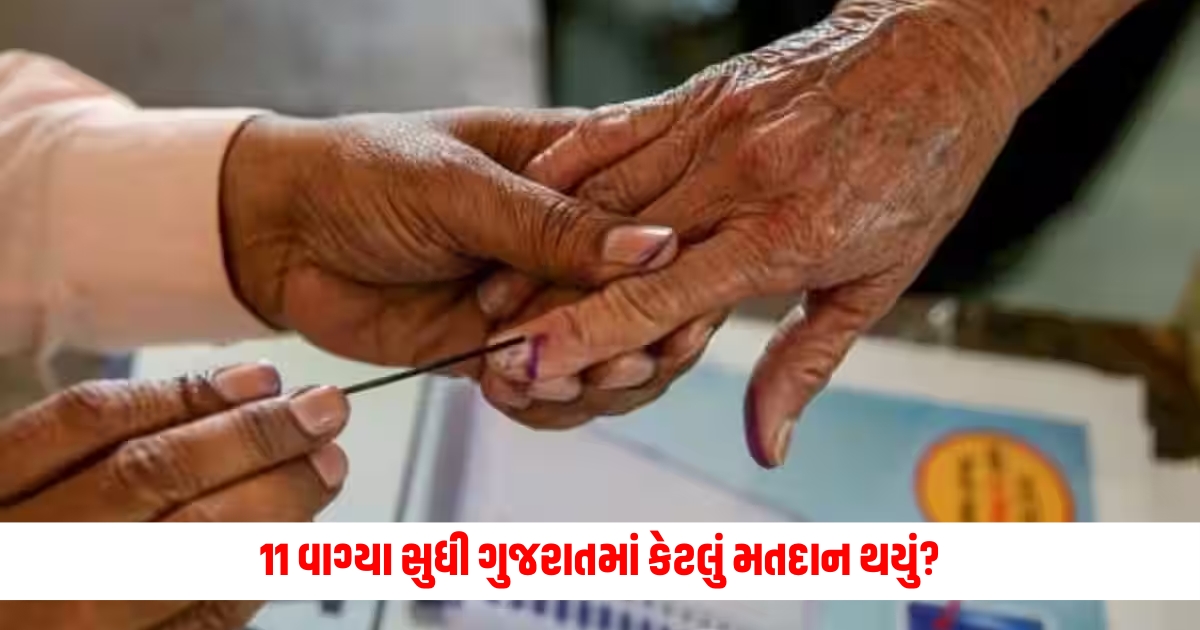 Lok Sabha Election : જાણો 11 વાગ્યા સુધી ગુજરાતમાં કઈ બેઠક પર કેટલું મતદાન થયું? fgggggg
