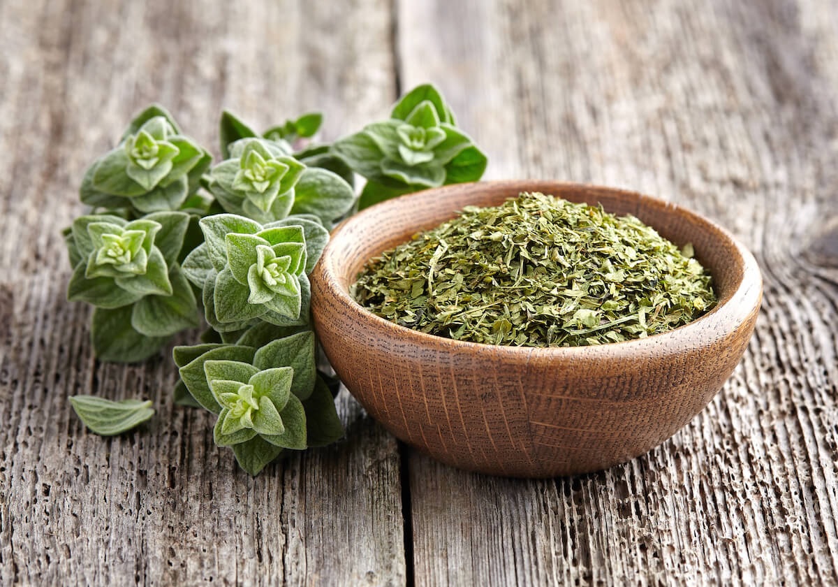 oregano reduces cholesterol improves digestion good for diabetes patients 2