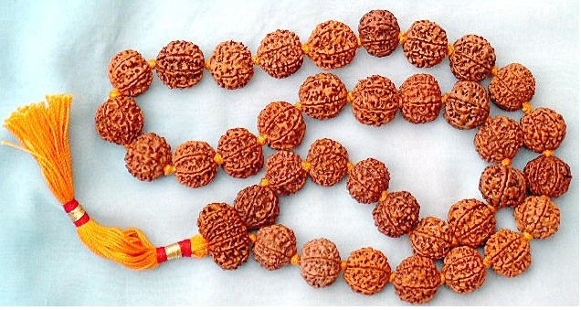 rudraksha wearing benefits no sorrows in life when to remove rudraksha mala know details2