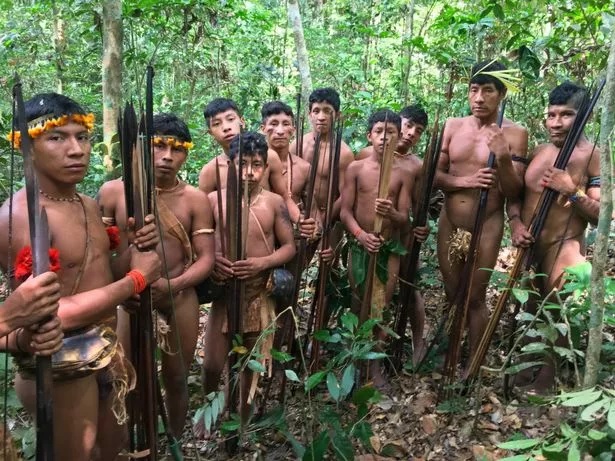 thousands years old amazon tribe bow arrows outclass modern arms explorer tells stunning story 1