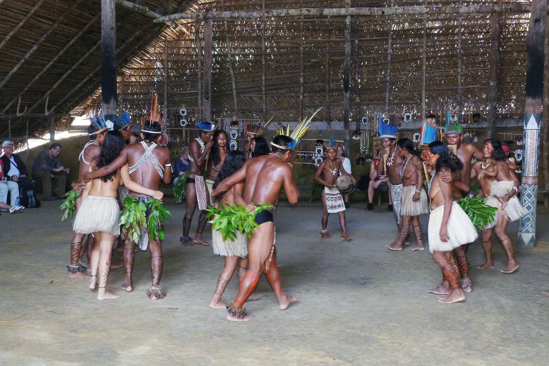 thousands years old amazon tribe bow arrows outclass modern arms explorer tells stunning story 2