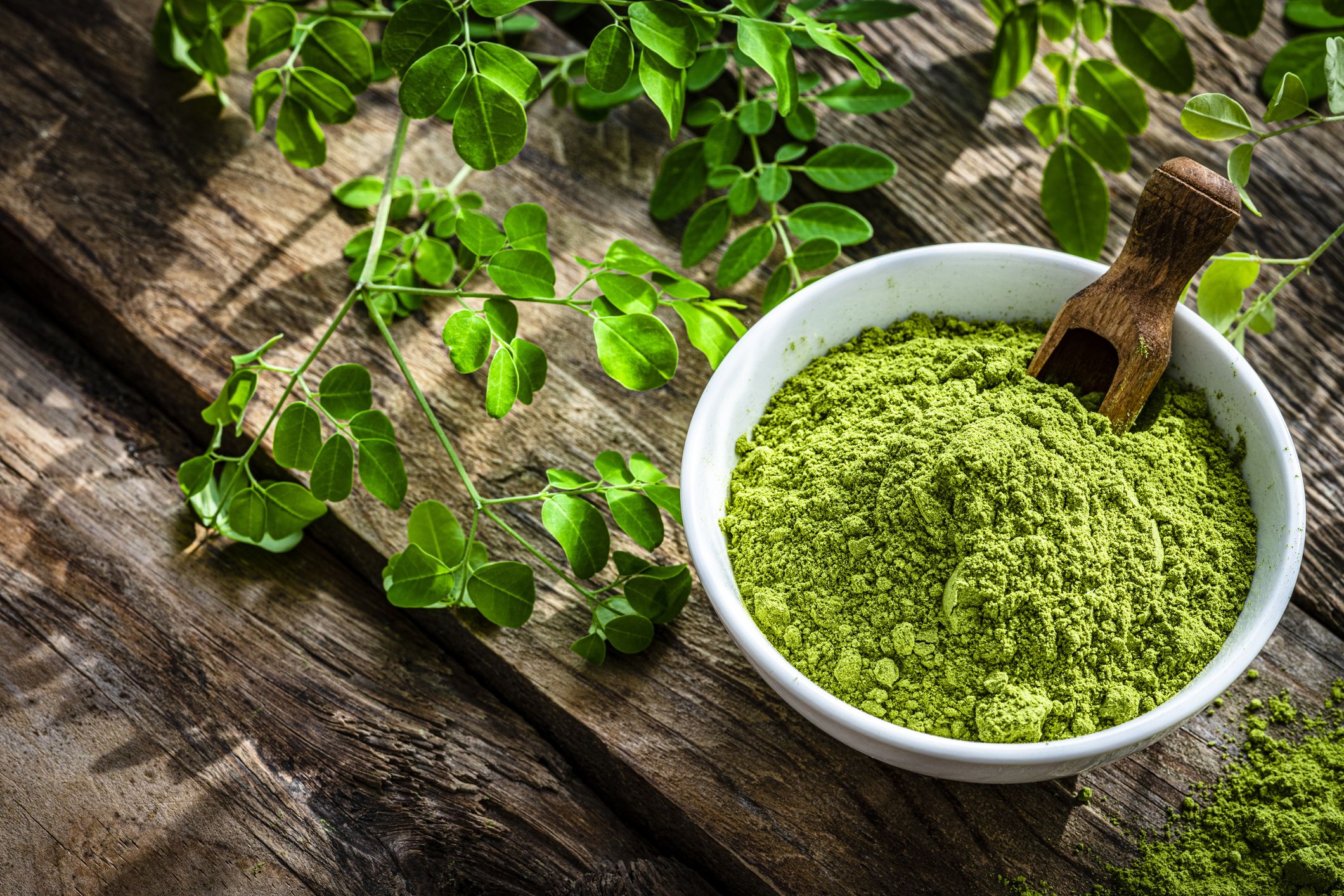 Moringa is a wealth of properties know its uses and benefits 1