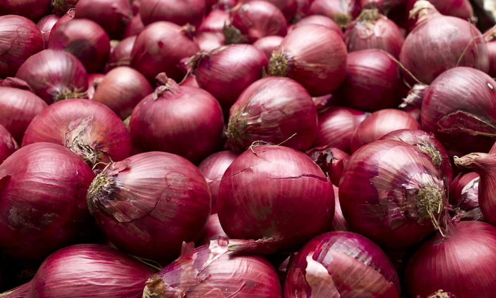 benefits of raw onion kacha pyaz khava na fayda2