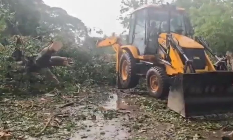 bharuch 3 dead tree falls heavy rains strong winds shuklatirtha3