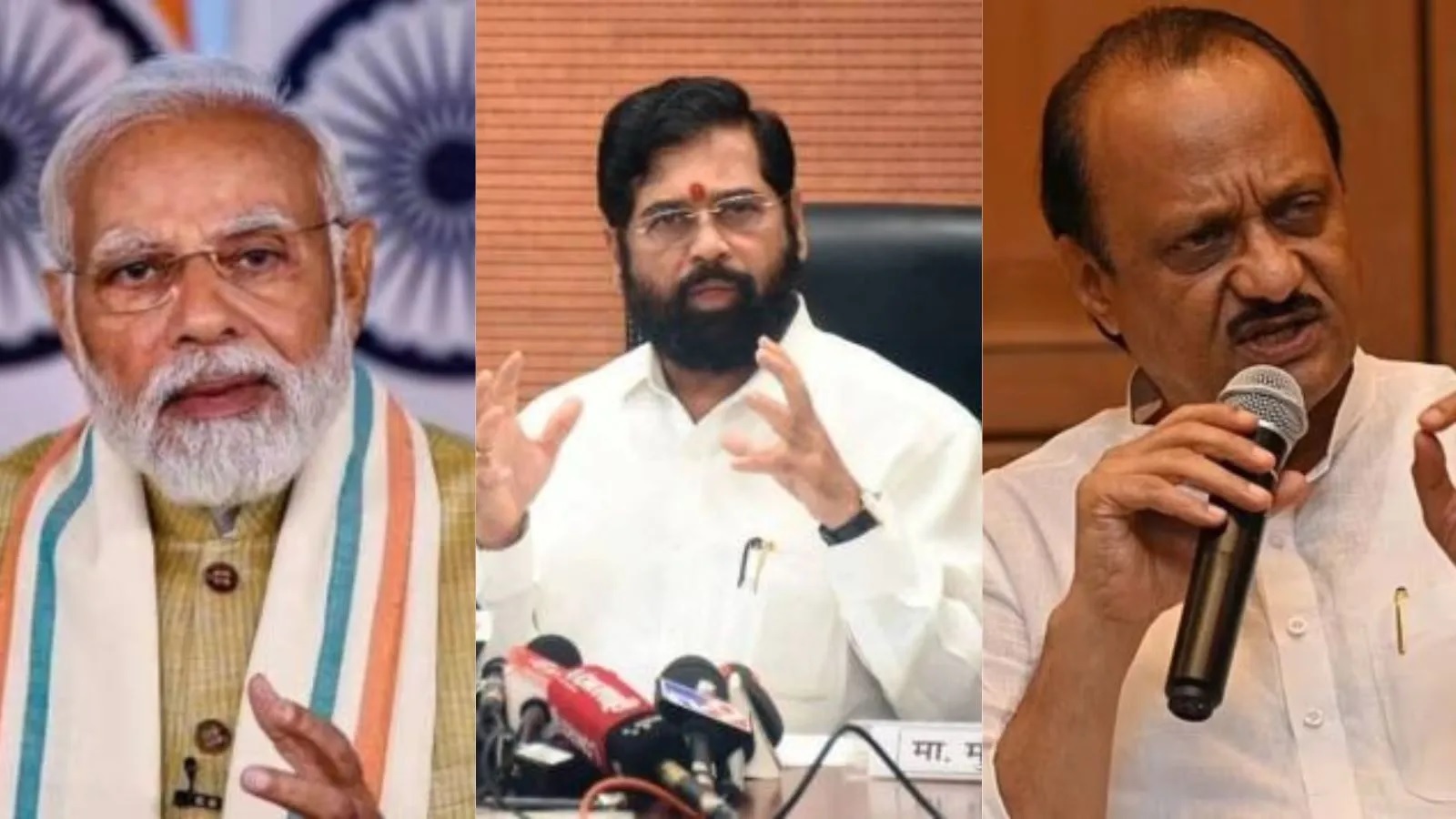 breaking ties with ajit bjp can contest assembly elections with shiv sena sets target of winnin2