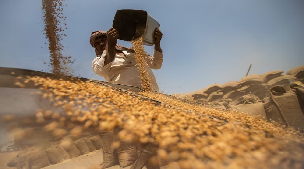 central govt clarifies india has sufficient wheat stocks no plans to change import duty1