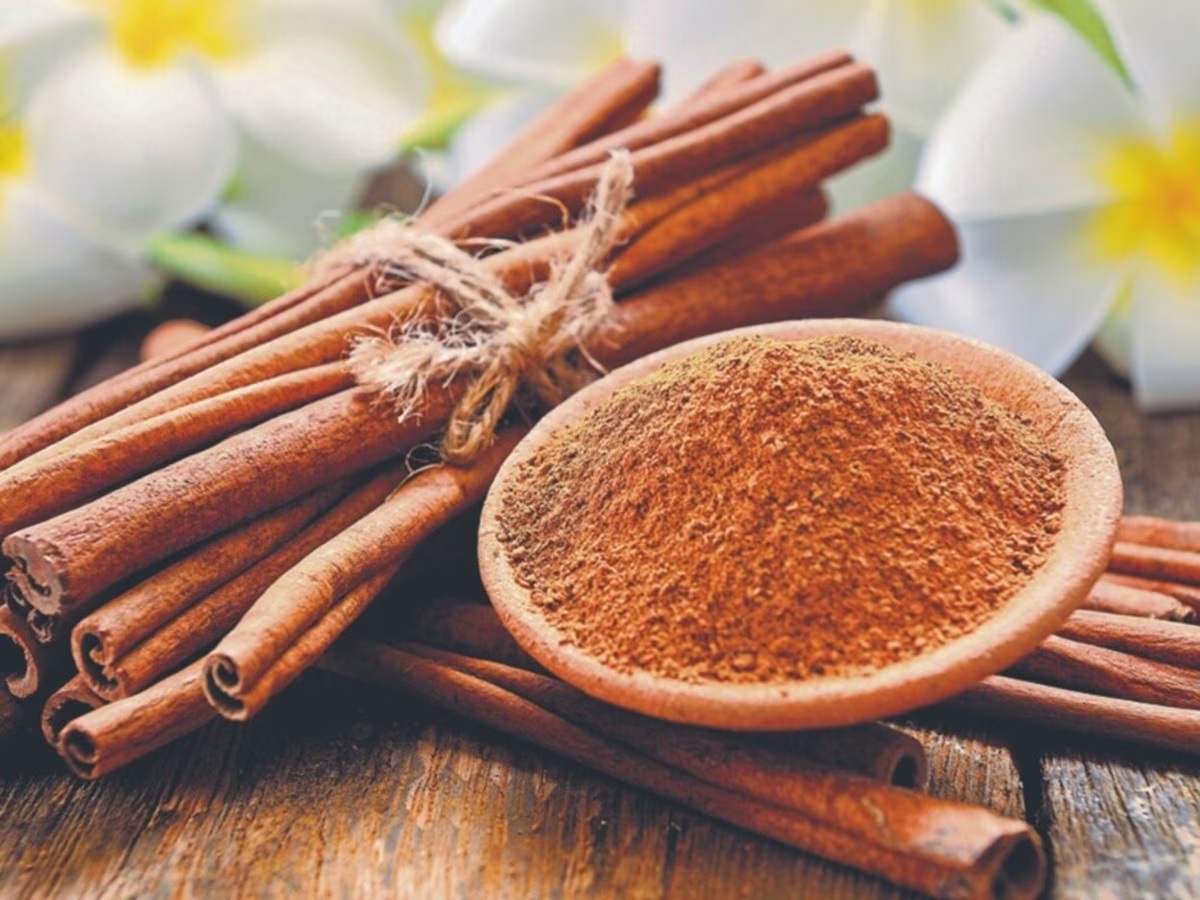 cinnamon use benefits how spot fake dalchini storing method1