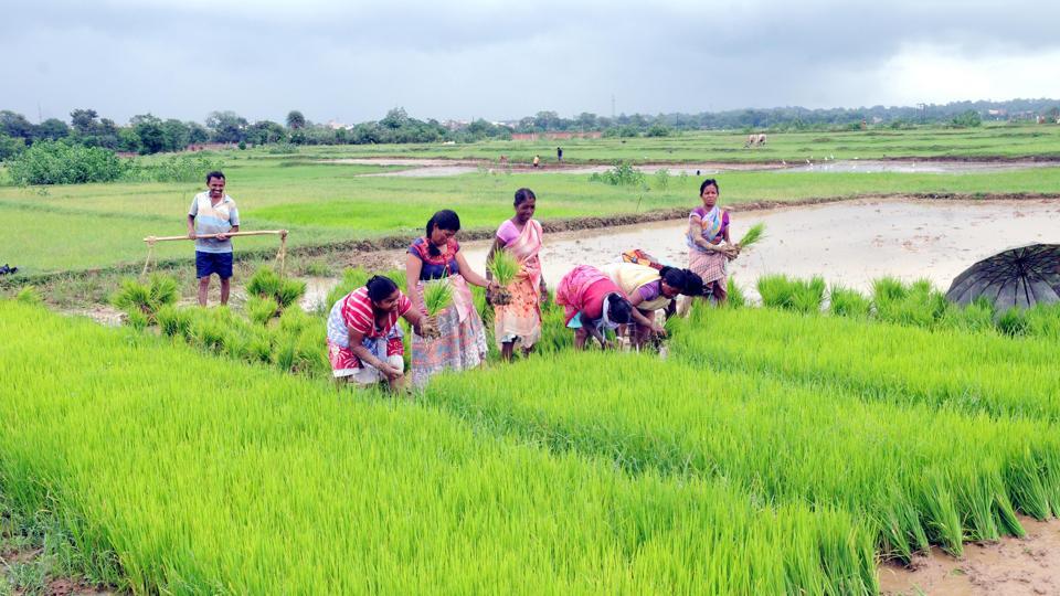 farmers loan up to rs 2 lakh waived telangana state government made big announcement 1