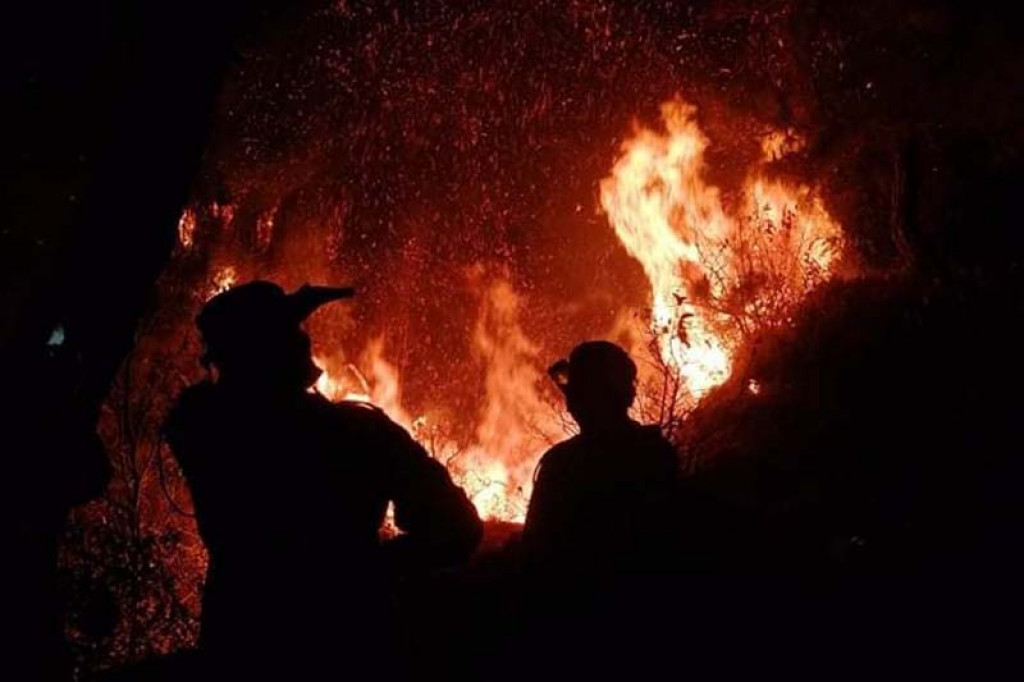 fire engulfs four shops in gujarat bhavnagar1