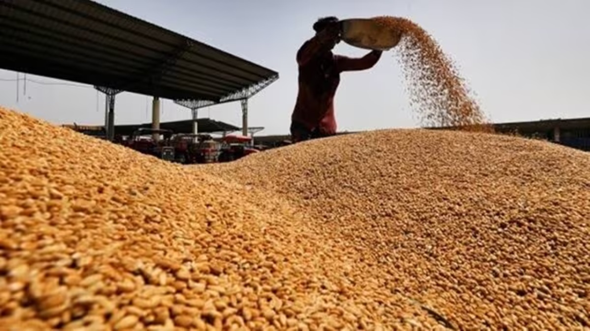 govt plans to reduce import duty on wheat from july 2024 in a bid to cool prices1