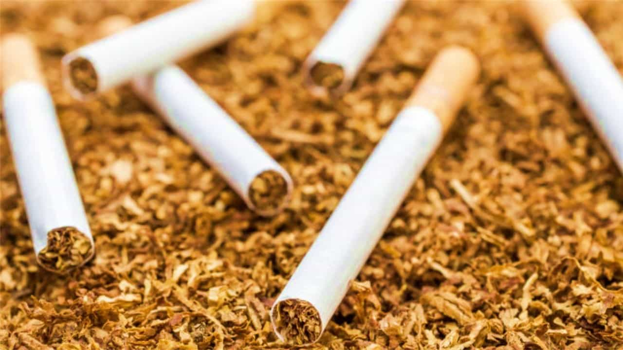 gstn rolls out form for tobacco manufacturers to report inputs outputs to tax authorities1