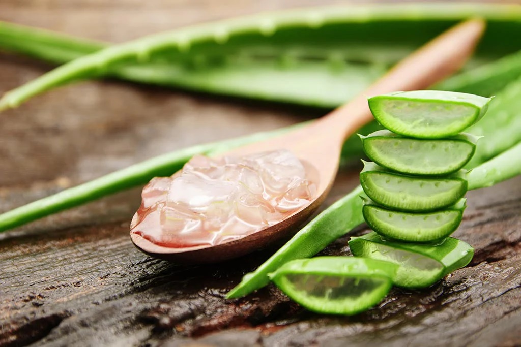 how to use aloe vera for younger looking glowing skin in summer garmi ma aloevera kevi rite lagavu1