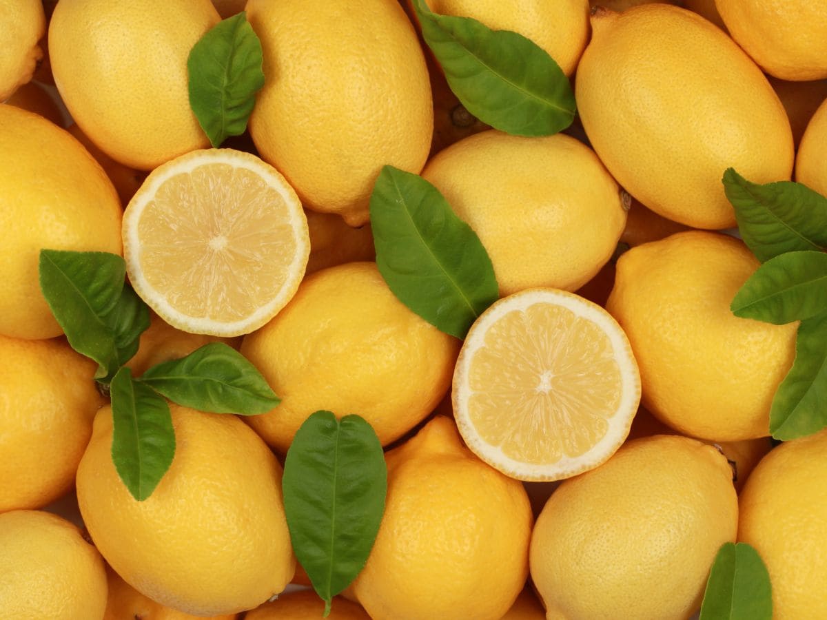 kitchen tips to buy fresh juicy lemons buying tricks in gujarati2