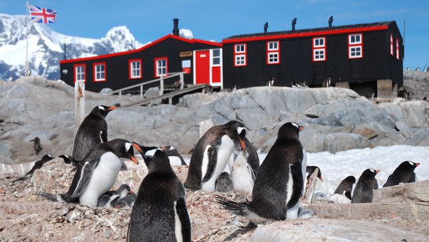 most remote post office in the world is on isolated island surrounded by penguins 2