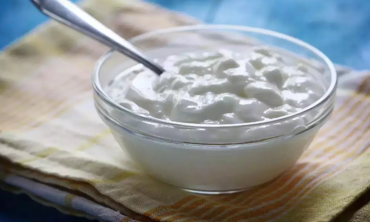 tips to prevent curd from turning sour in summer dahi ne khatu thava thi kevi rite bacho1