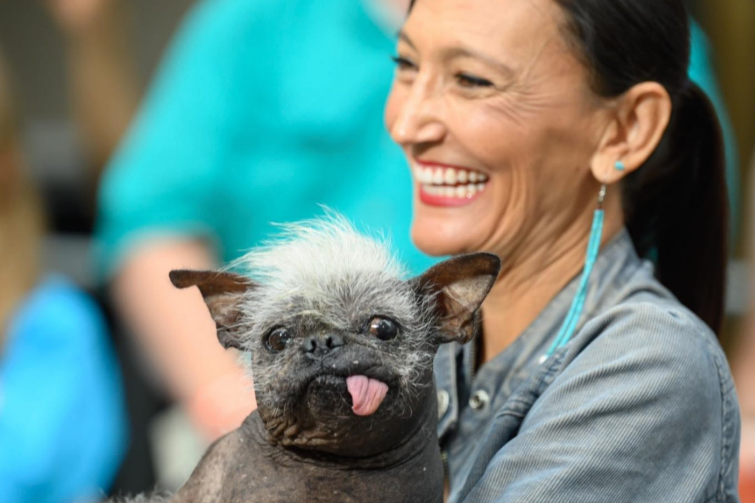 woman adopted ugliest dog ever seen now becomes beautiful unrecognisable1