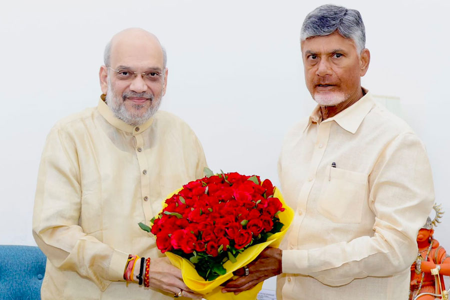 Chandrababu Naidu met Shah discussed these issues 1