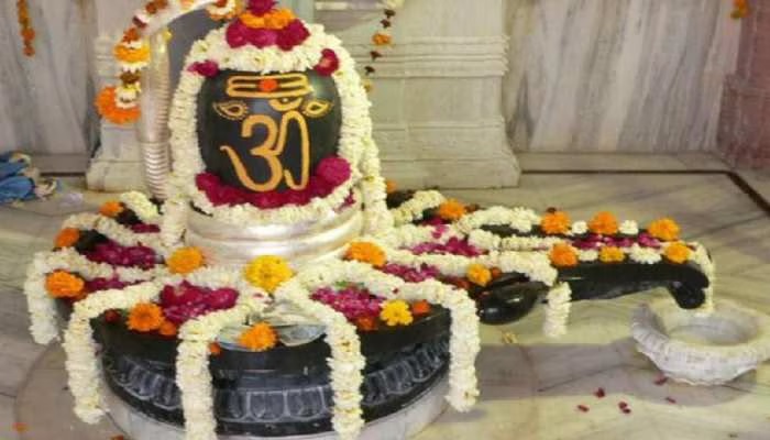 Offer these things to Shivlinga today Mahadev will bring wealth 02