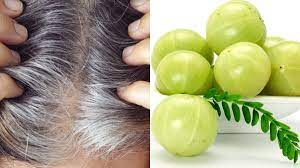 Using Amla in this way can make your white hair black and thick 1