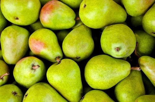 babugosha pear amazing health benefits very juicy and full of vitamin fruit 1