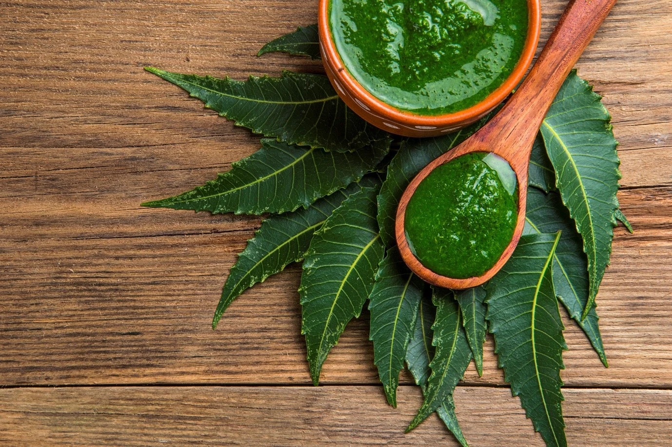 benefits of using neem for skin and hair 1