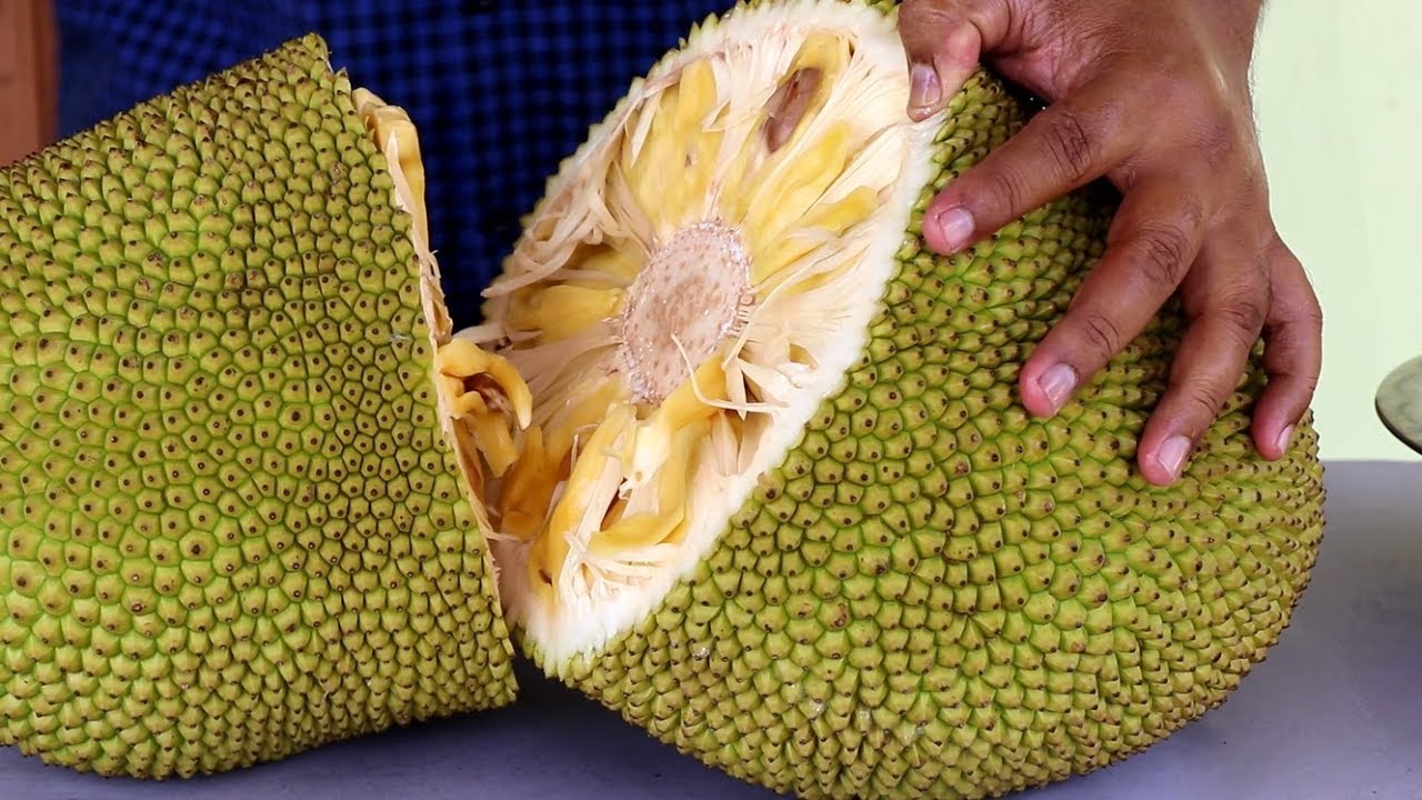 kitchen tips to cut kathal jackfruit without sticking hands jackfruit ghar par sudhrva ni rit in gujarati 1