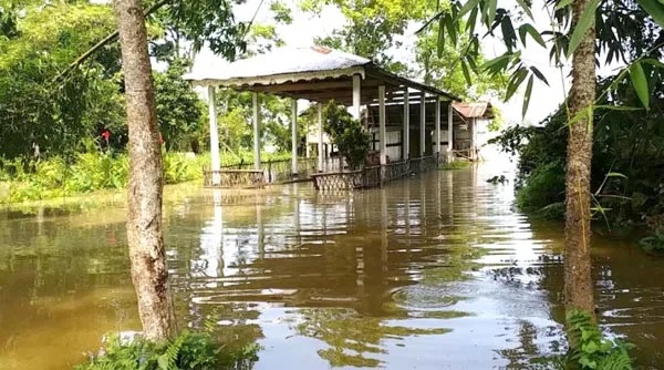 monsoon rain wreaks flood in assam 52 people die not only humans but animals are also suffering 1