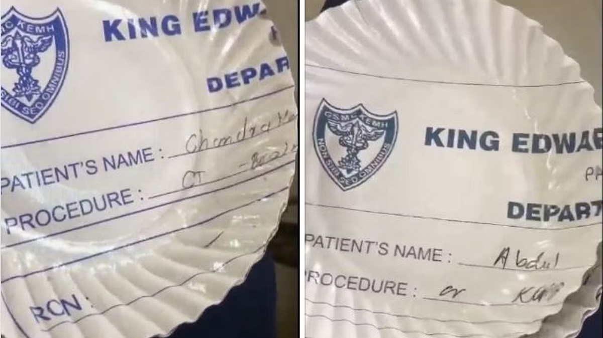 mumbai paper plates made from folders of patients reports kem hospital issues notices to 6 staffers 1