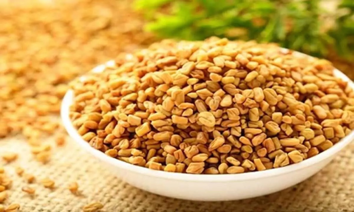 tips to use methi for long shiny and healthy hair 1