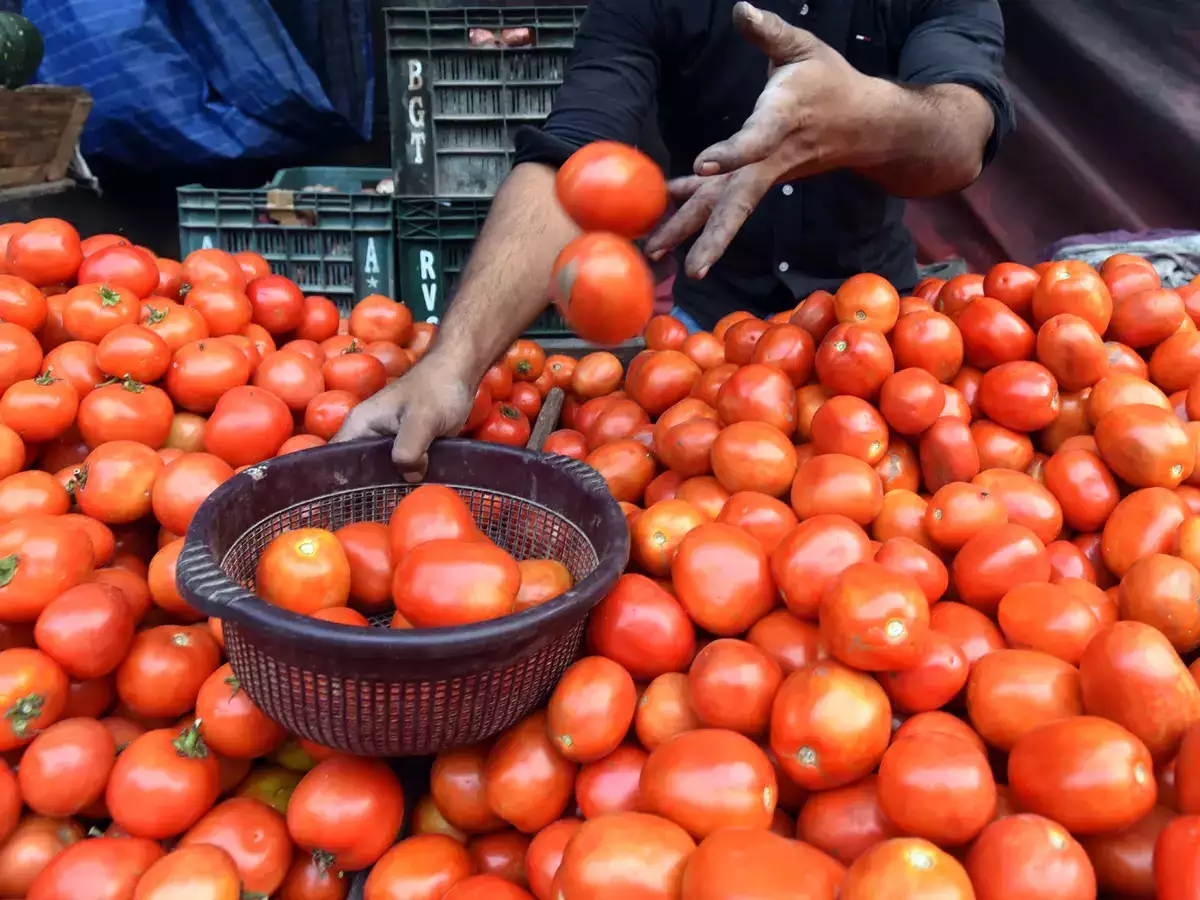 Good news for the housewives now the government will sell tomatoes at this price per kg 1