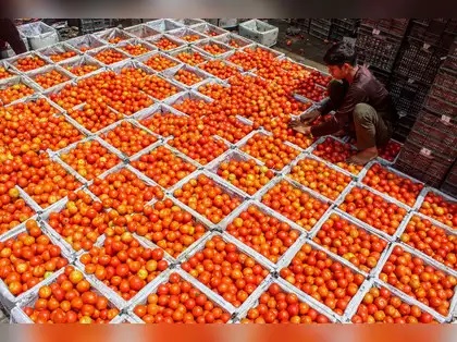 attack on inflation government will sell tomatoes at rs 50 per kg from today 16 more food products added to the monitori 2