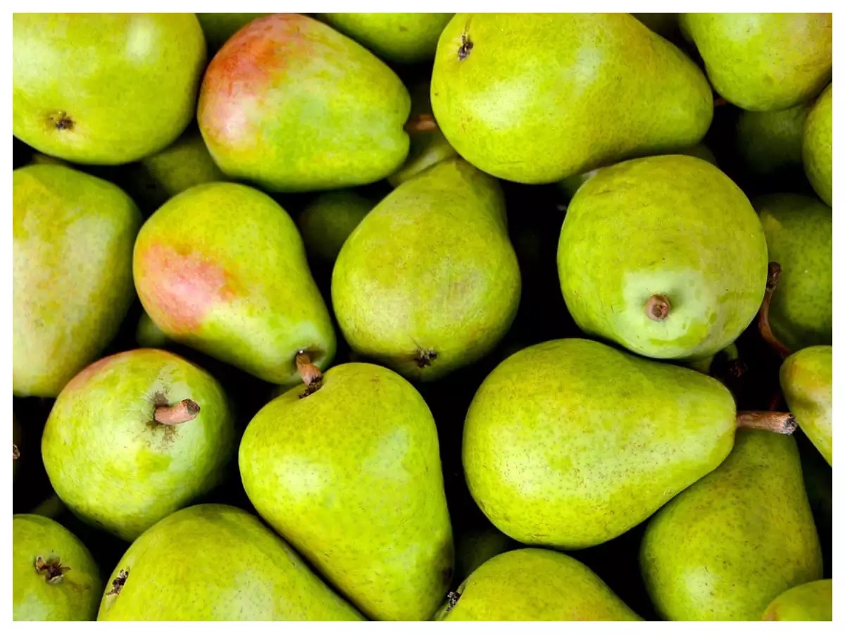 beauty tips pear is boon for health also for skin know its benefits and uses 1