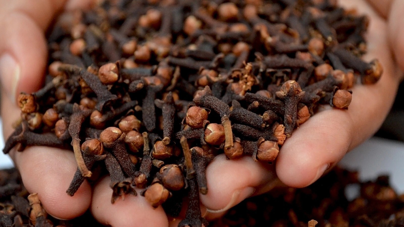 cloves beneficial for face or not know about its effects skin care glowing face 2