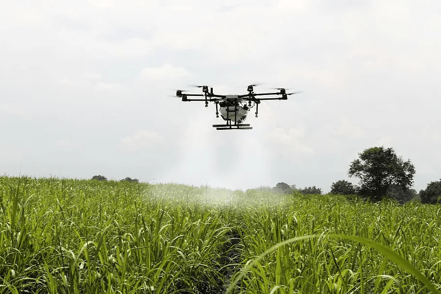 drone didi of gujarat earns lakh rupees by spraying fertiliser on