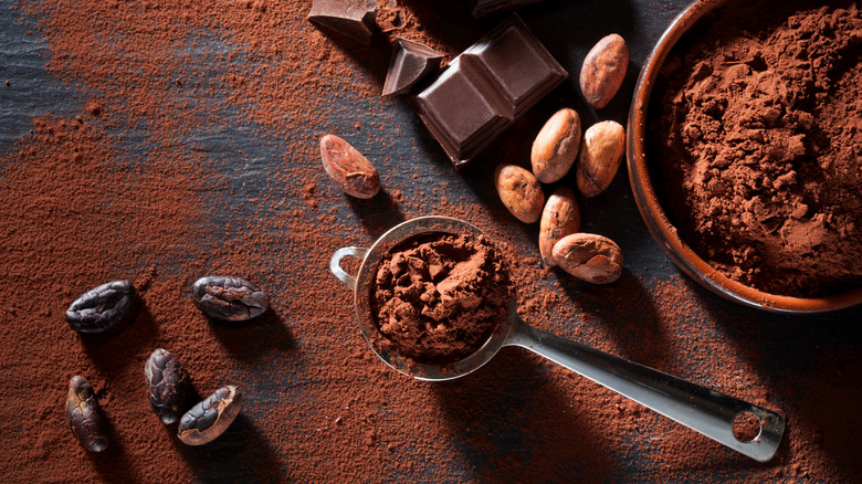 easy tips to buy cocoa powder21