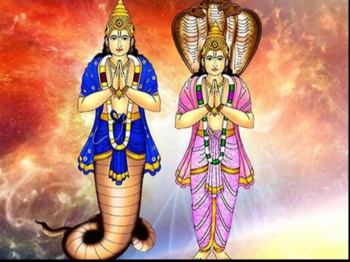 rahu rashifal 2024 rahu in shani nakshatra will give new income source to these zodiacs 1