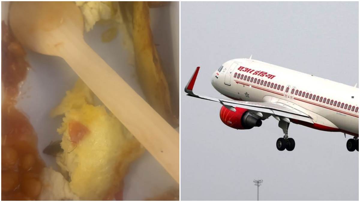 air india cockroach found in food on flight from delhi to new york mother and son fall ill investigation ordered