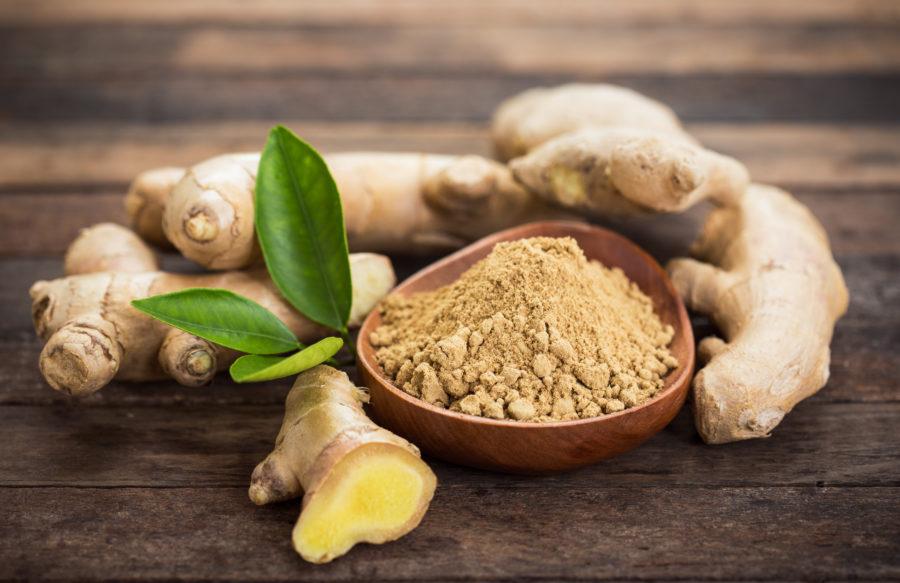 dry ginger benefits ginger powder uses ayurvedic remedies ginger powder tea recipe