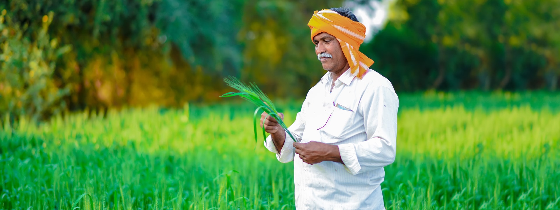 fasal bima yojana toll free number released for farmers will get solutions1