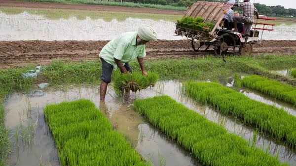 good news for farmers apart from msp bonus of rs 100 per quintal2