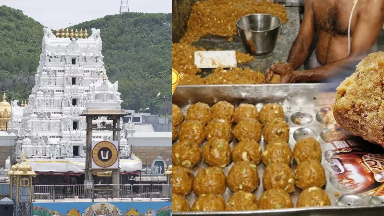 gps install on vehicles supplying ghee to tirupati temple every moment monitoring1