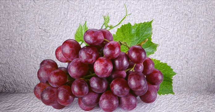 health tips red grapes benefit for health2