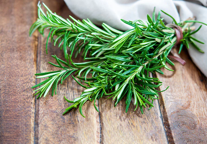 know how to make rosemary oil hair mask at home to get thick and strong shiny hair1