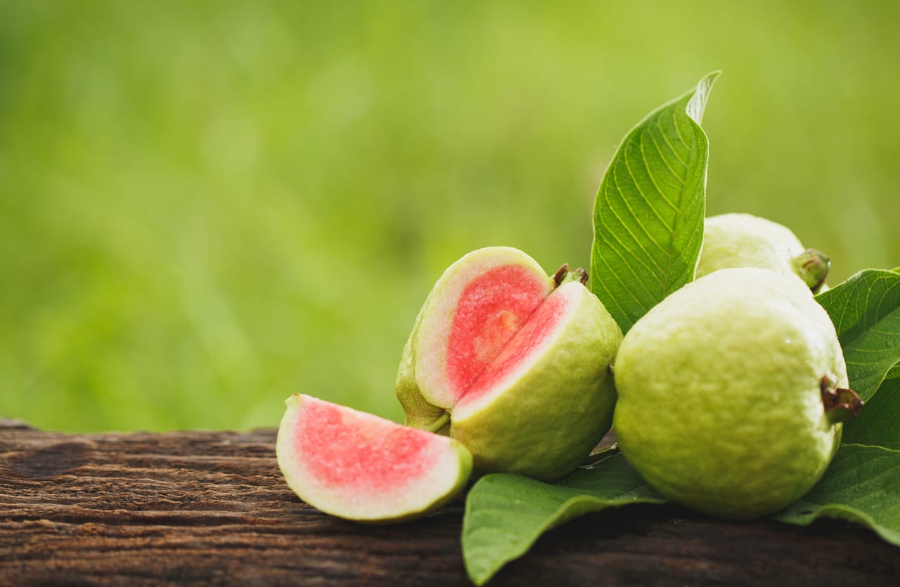 guava fruit benefits for stomach in hindi which diseases can guava cure amrood khane ke fayde324