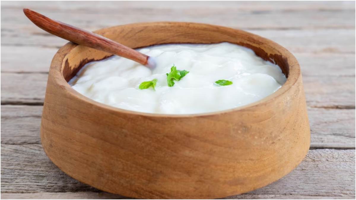 sardi mein dahi khane ka sahi samay what is the right time to eat curd yogurt 1